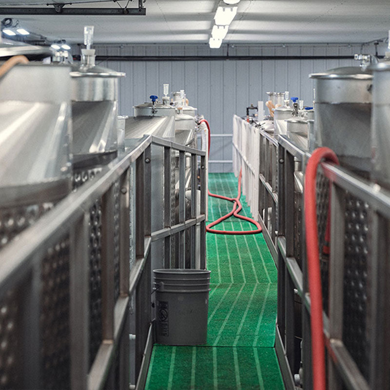 Cellar Tour and Tasting